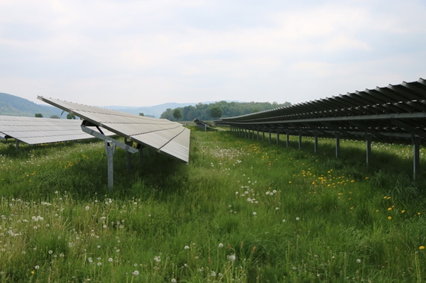 Klimaziele mit Gesetz erreichen Klimakrise erfordert gleiche Entschlossenheit wie Corona