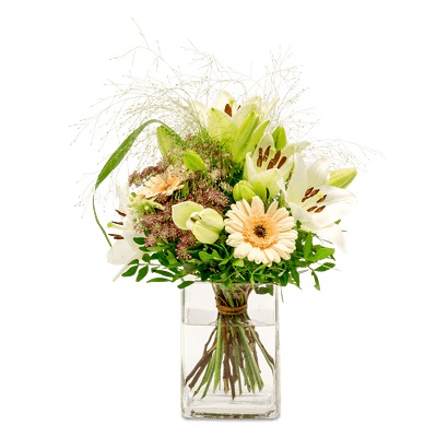 Septemberkollektion 2019