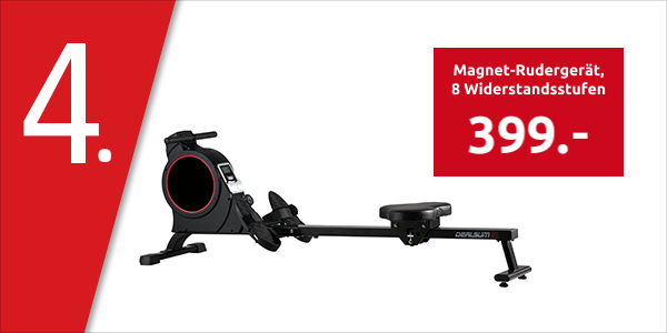 Magnet-Rudergerät, 8 Widerstandsstufen, Magnetbremse