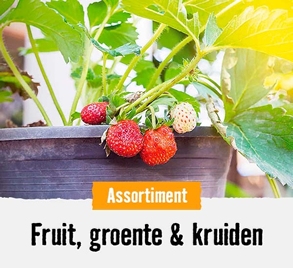 Fruit, groente & kruiden | HORNBACH