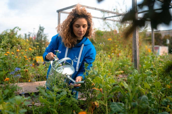 Trockenheit im Garten Tipps für einen klimaangepassten Start in die Gartensaison