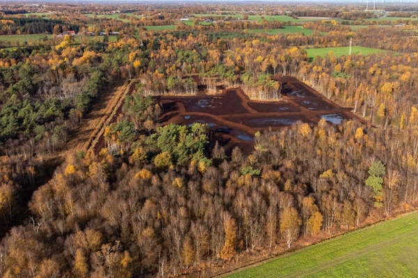 Neue Lebensräume im Badener Moor
Weitere sechs Hektar erfolgreich wiedervernässt