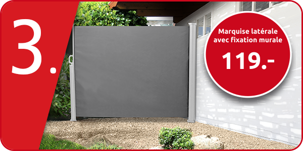 Marquise latérale avec fixation murale, anthracite