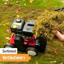 Vertikutierer im HORNBACH Onlineshop