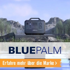 Marke BLUEPALM