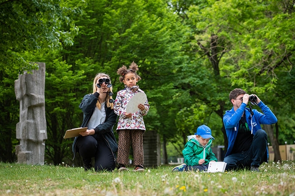 Ticker zur „Stunde der Gartenvögel“ 2025 Ticker, Resultatem Prognosen zur Vogelzählung