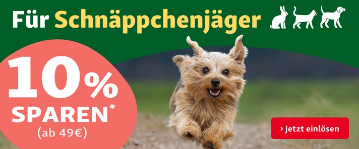 Für Schnäppchenjäger: 10% auf alles ab 49€