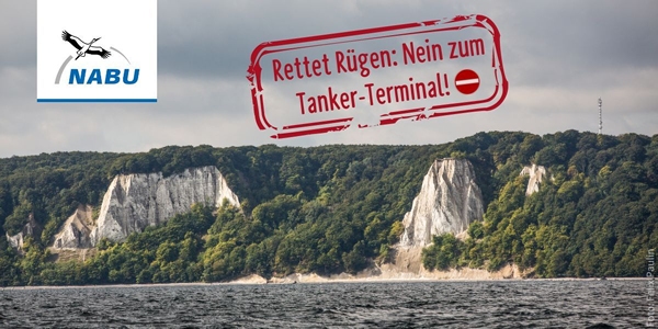 Foto: Felix Paulin - in Sichtweise der Kreidefelsen von Rügen soll das Giga-Terminal entstehen