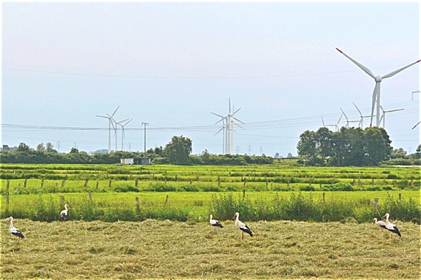 Saubere Energie braucht saubere Planung Mehr erneuerbare Energien wagen