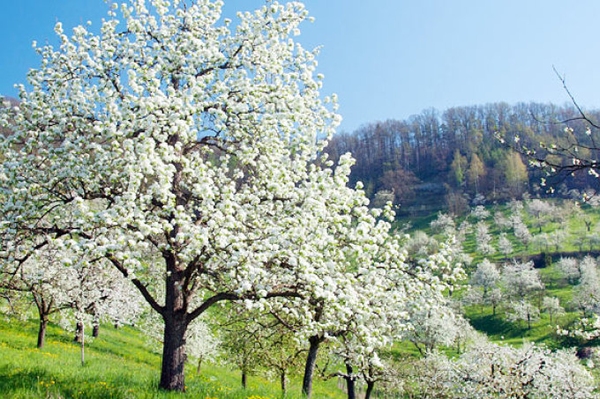 Wir kämpfen für die Natur Jetzt spenden!