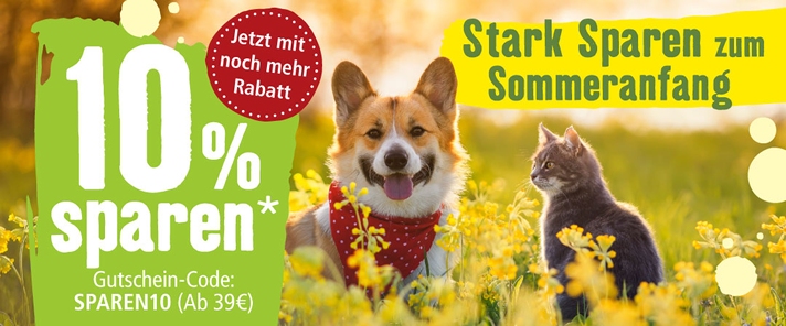 10% Rabatt auf alles!