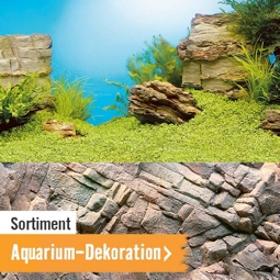 Aquarium Dekoration im HORNBACH Online Shop