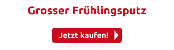 Grosser Frühlingsputz