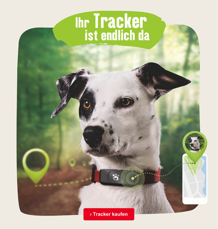 Jetzt Hundetracker sichern und sparen