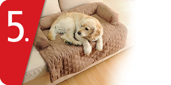 Tier-Sofa «Couch in Couch»