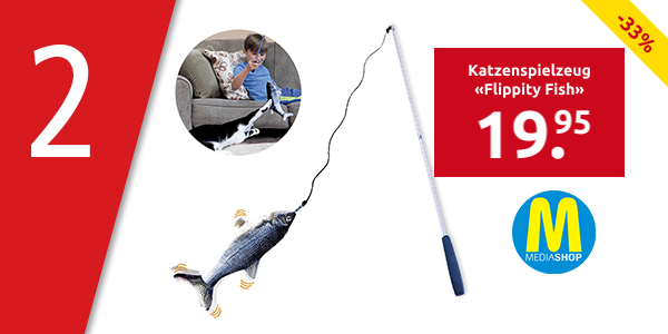 Katzenspielzeug «Flippity Fish»