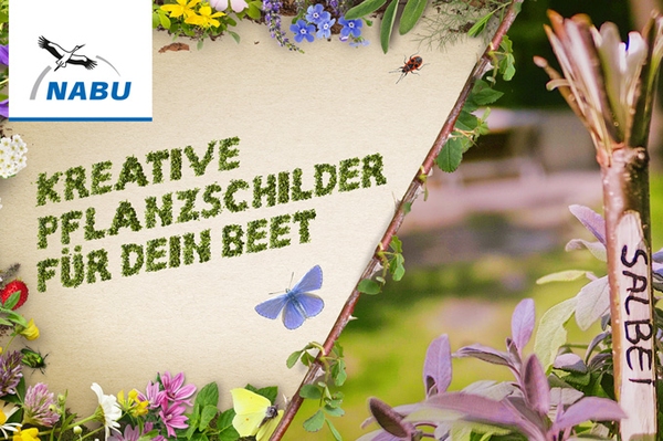 Video-Tipp: Kreative Pflanzschilder Beete und Töpfe mit Schildern aus Zweigen verzieren