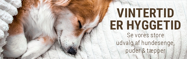 Hyggelige hundesenge