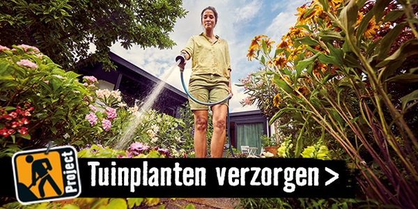 Tuinplanten verzorgen | HORNBACH