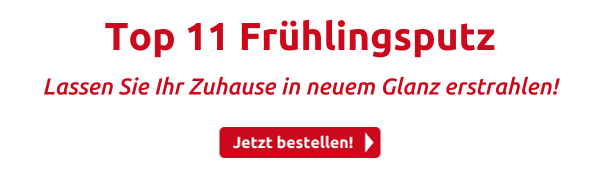 Top 11 Frühlingsputz