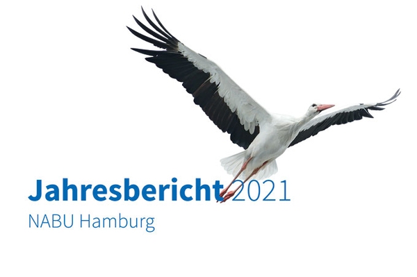 Rückblick auf das Jahr 2021 Jahresbericht und Video des NABU Hamburg