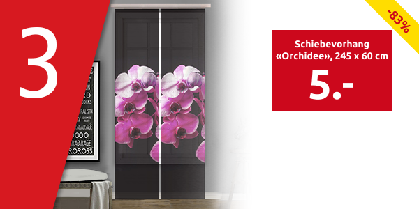Schiebevorhang «Orchidee», 245 x 60 cm