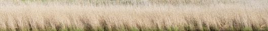 Mit dem DaF-Dossier in den Norden (Bild: Shutterstock.com/Wirestock Creators)