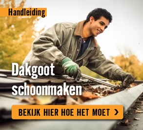 Dakgoot schoonmaken | HORNBACH