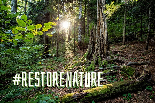 Gesunde Natur für unsere Zukunft Hessen muss EU-Wiederherstellungs-Verordnung der Natur umsetzen