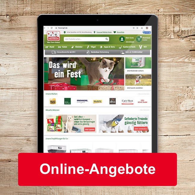 Online-Angebote