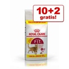 10 kg + 2 kg gratis! 12 kg Royal Canin Kattenvoer