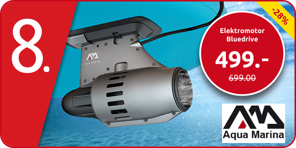 Elektromotor Bluedrive