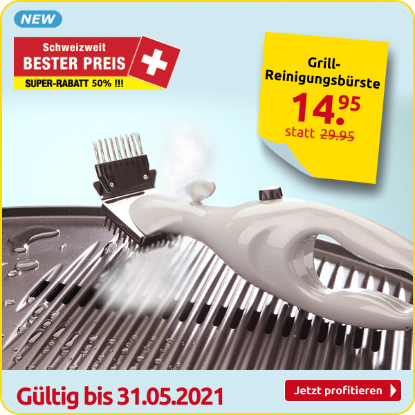 Grill-Reinigungsbürste