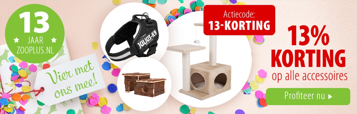 13% korting op alle accessoires!