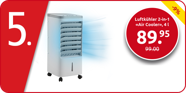 Luftkühler 2-in-1 «Air Cooler», 4 l