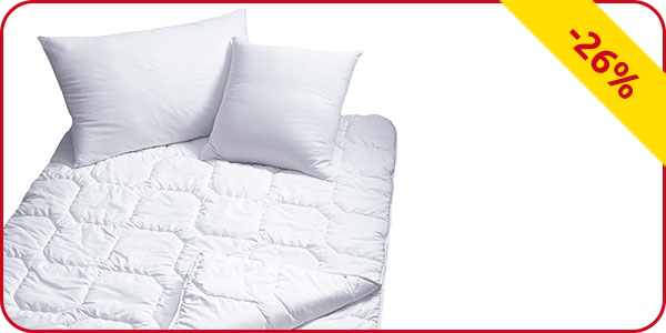 Duvet  «4 Jahreszeiten» 160 x 210 cm, 1010 + 670 g + Pfulmen 65 x 100 cm, 1000 g