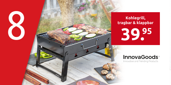 InnovaGoods Kohlegrill, tragbar & klappbar, 36x7x28,5 cm