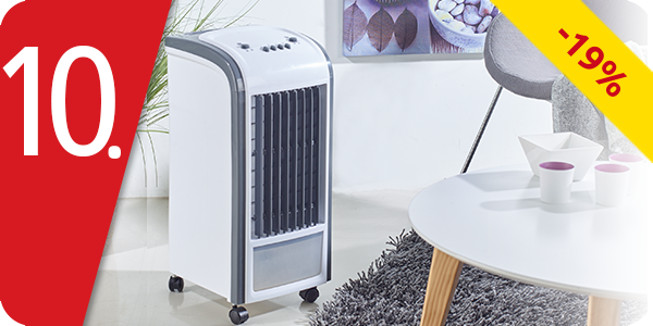 Air Cooler 2-in-1