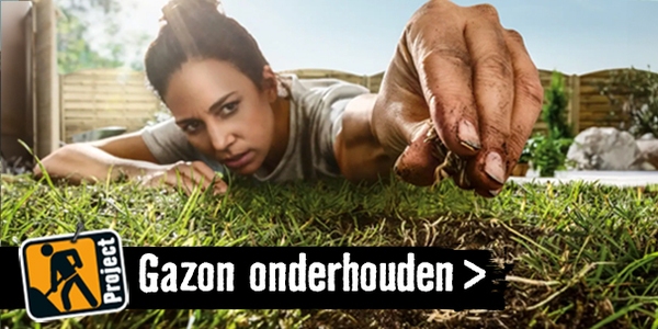 Gazon onderhouden | HORNBACH