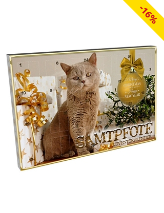 Adventskalender «Samtpfote»