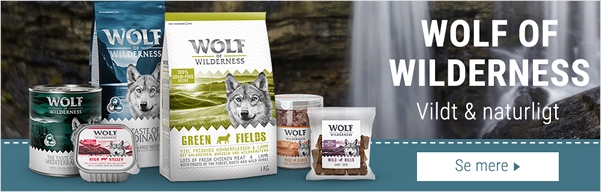 Wolf of Wilderness >>