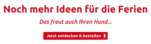 Noch mehr Ideen für die Ferien