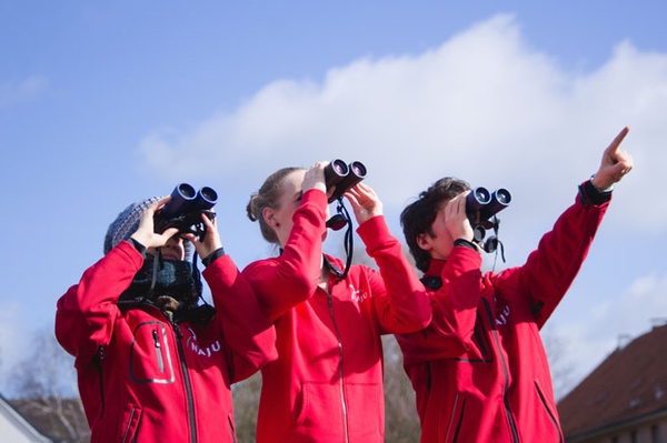 NAJU Birders Camp - Jetzt anmelden! Vogelbeobachtung & Workshops vom 13.-15 Mai 2022