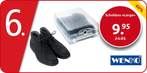 Schuhbox «Large»