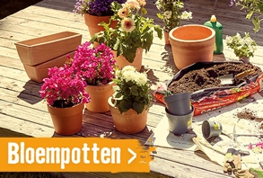 Bloempotten en plantenbakken | HORNBACH