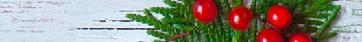 Der Newsletter Berufliche Bildung