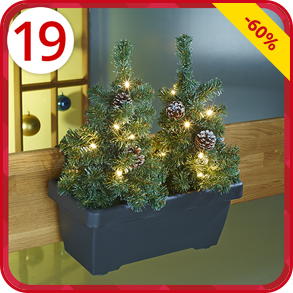 Tannenbäume im Balkonkasten, 20 LED, H 47 cm