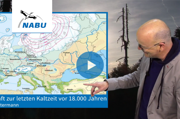 #NetzstreikFürsKlima am 24. April Zusammen mit Fridays For Future ins Netz