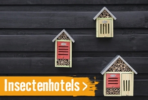 Insectenhotels | HORNBACH