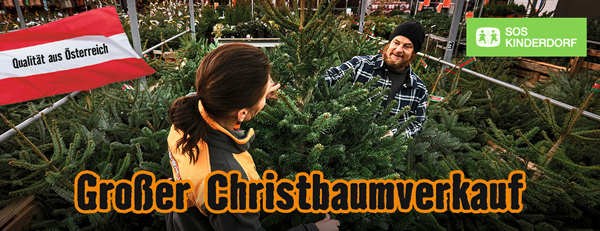 Christbaumverkauf bei HORNBACH